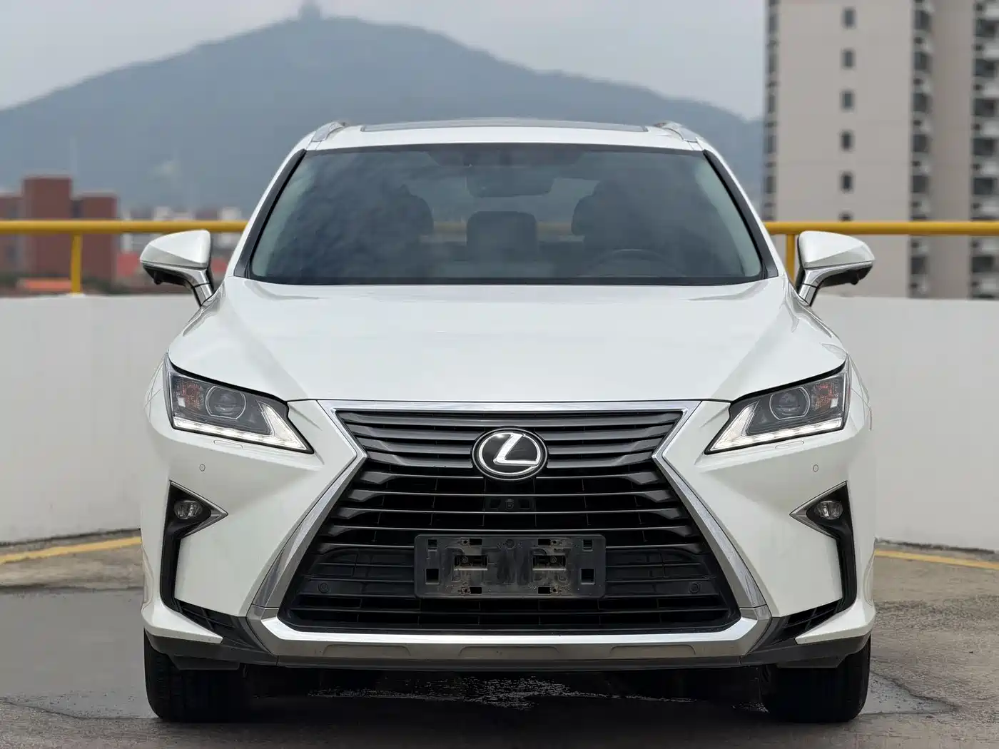 Lexus RX 2016 300 2WD Elite Edition (China V) фото 2