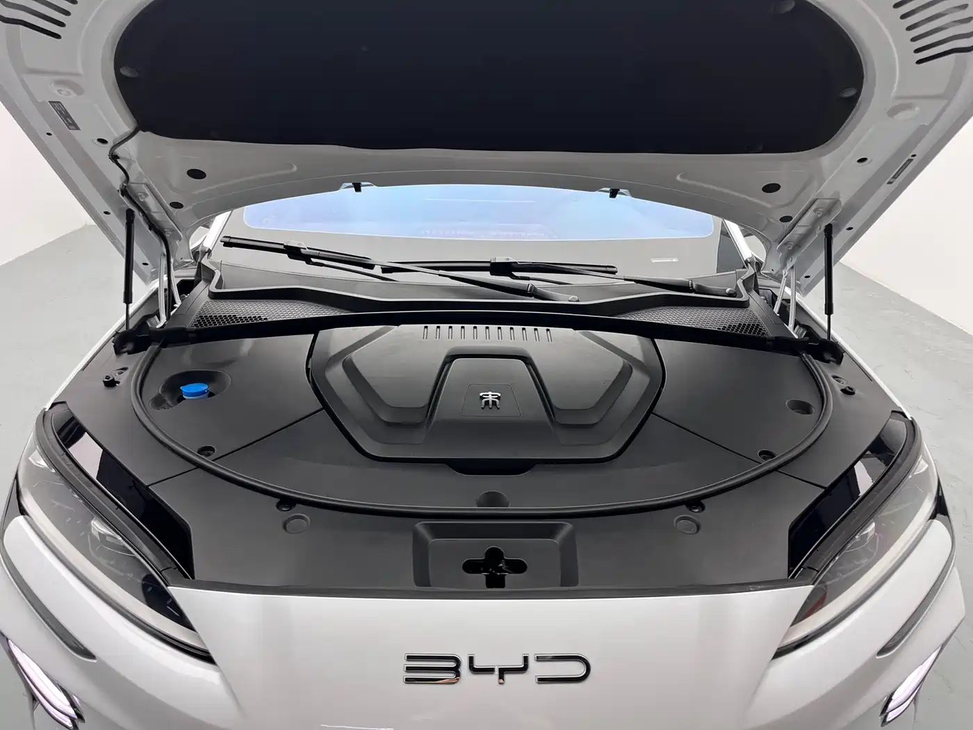 BYD SONGJIANG NEW ENERGY