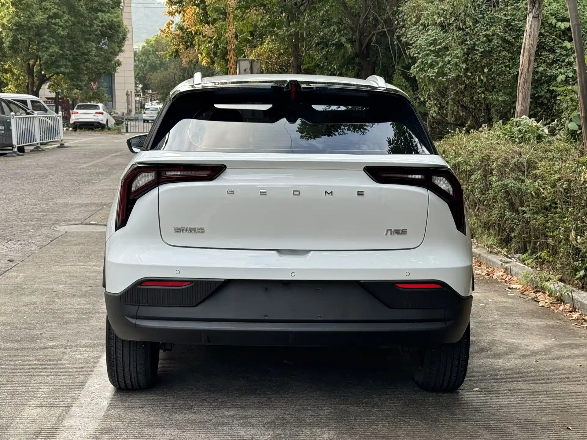 Фото 3 - Geely Geometry E Firefly