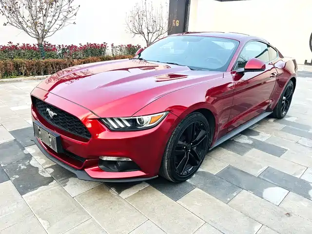 FORD MUSTANG
