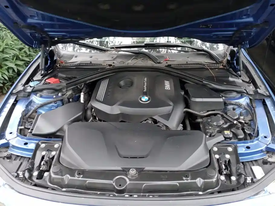 BMW 3 Series 2019 320Li M Sport Black Night Edition фото 10