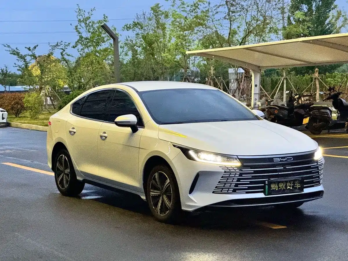 BYD Destroyer 05 2023 Champion Edition DM-i 120KM Premium фото 3