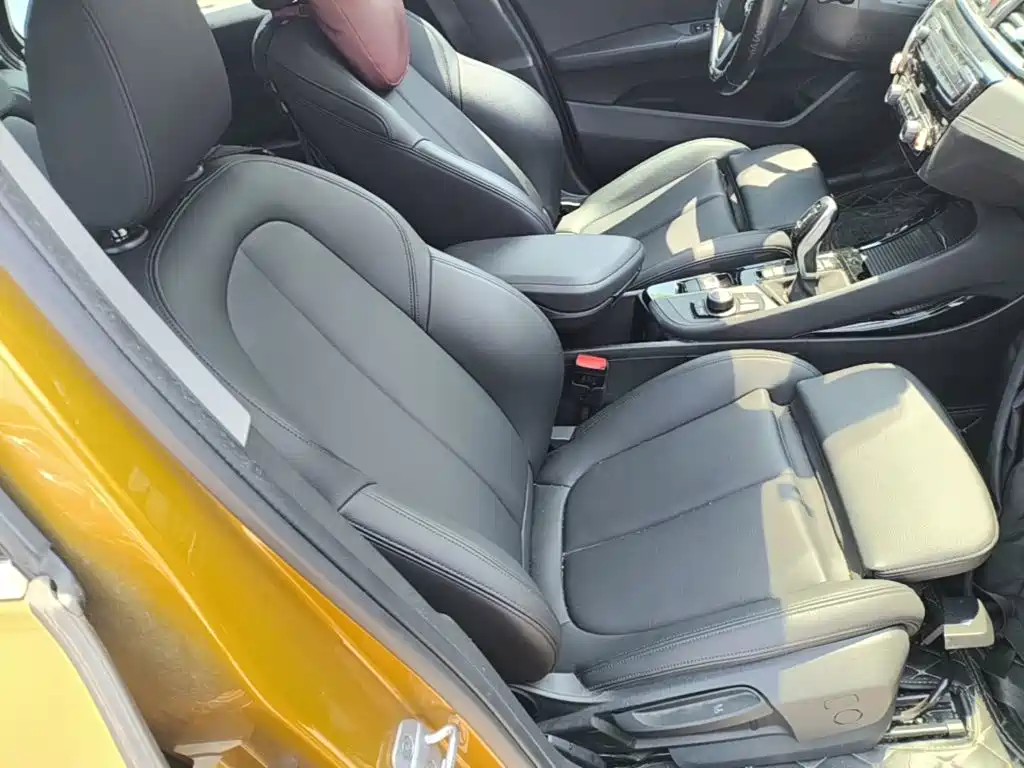 BMW X2 (Import) 2019 2019 sDrive20i M Off-Road Package China VI