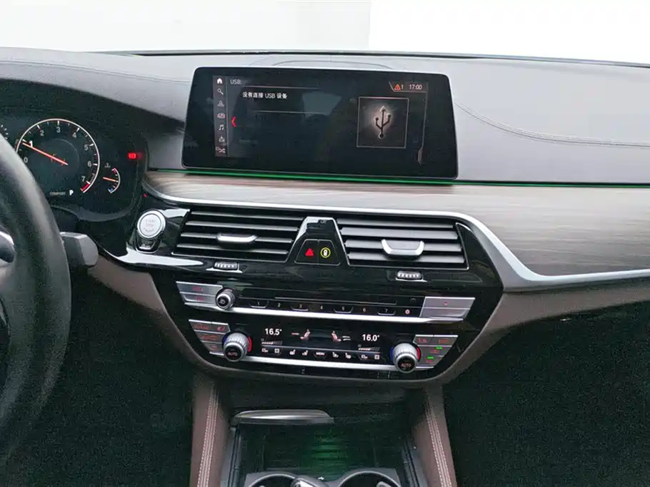 BMW 5 Series 2019 530Li Premium Luxury Package фото 13
