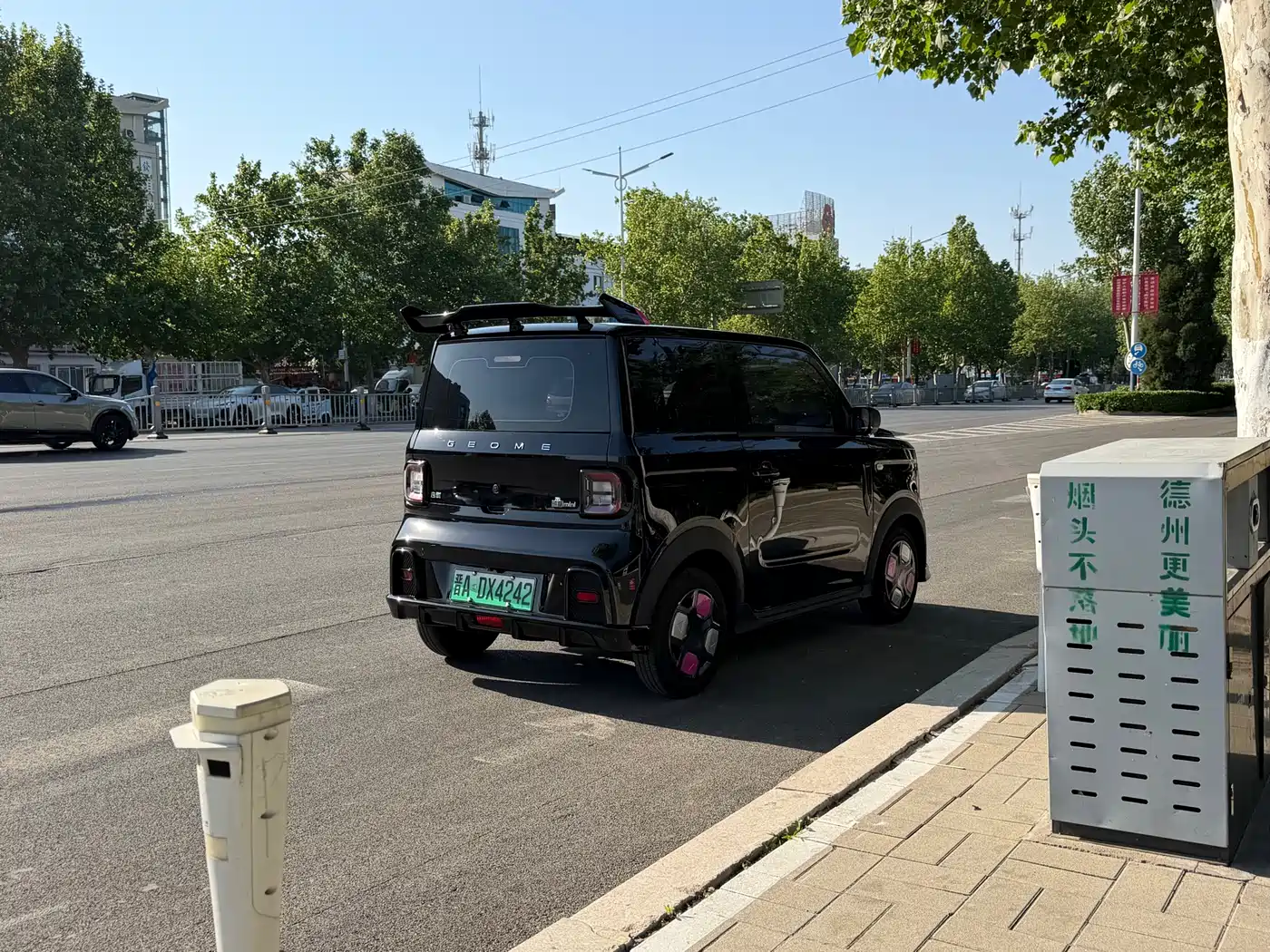 Geely Galaxy Panda 2025 Model Year 210km Panda Kart фото 4