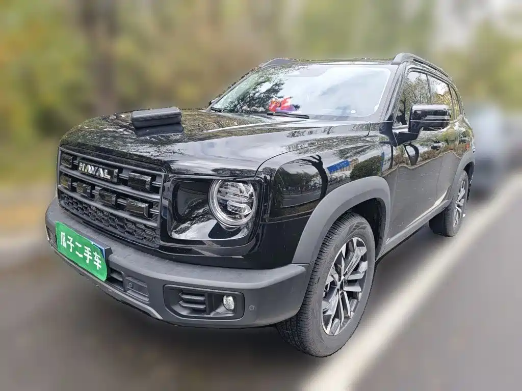 Haval Big Dog 2024 — пригон из Китая