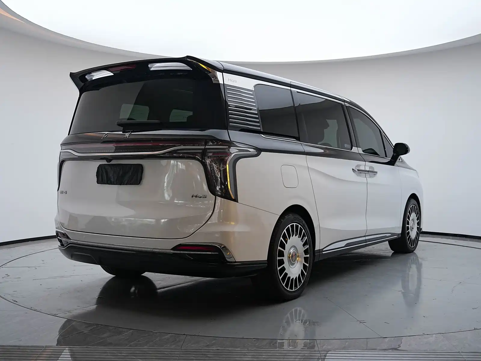 Фото 24 - Hongqi HQ9