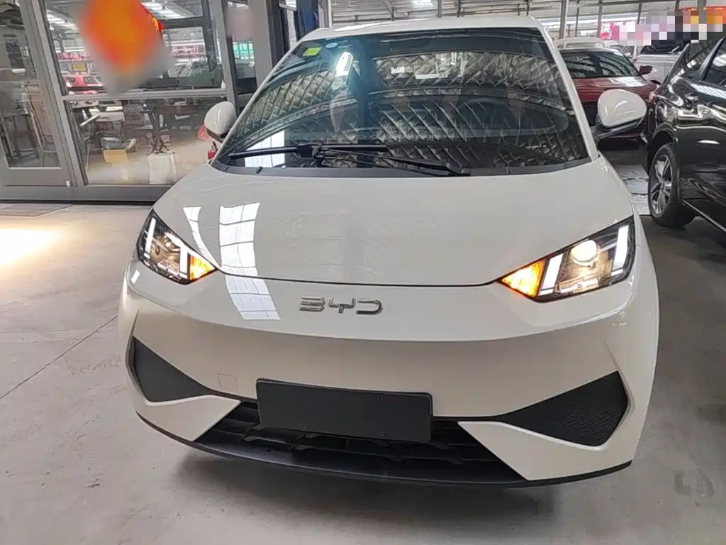 BYD Seagull 2026 2025 Smart Drive Edition 305km Vitality Version
