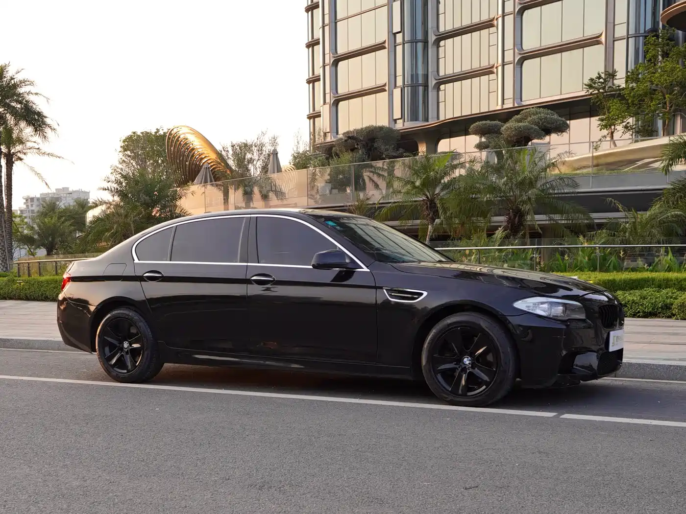 BMW 5 Series 2011 528Li Luxury фото 3