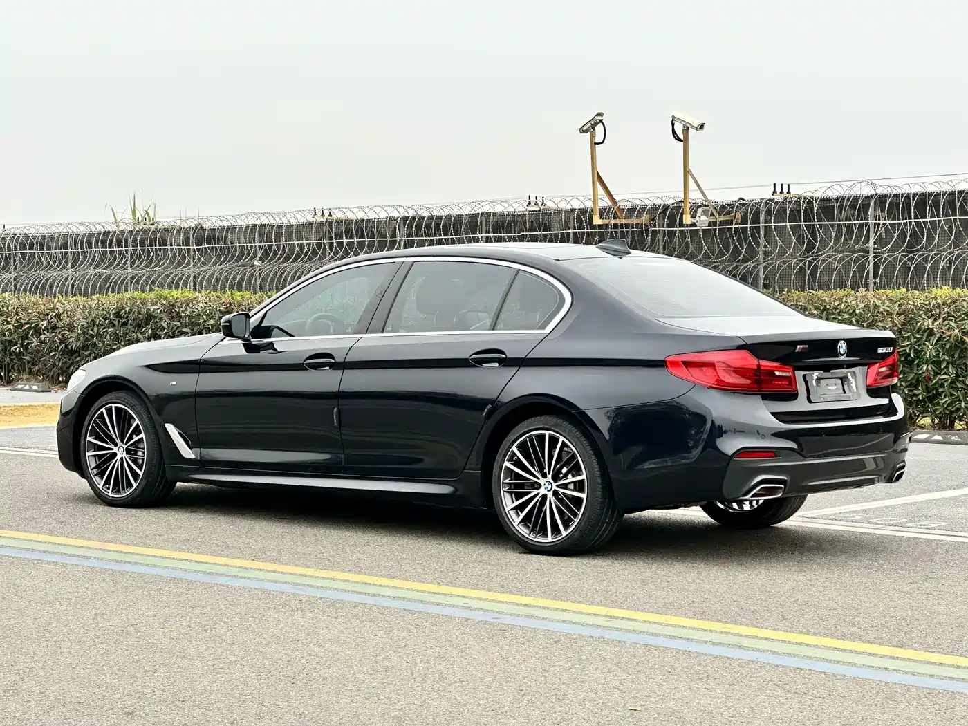 BMW 5 Series 2020 530Li Leading Luxury Package фото 4