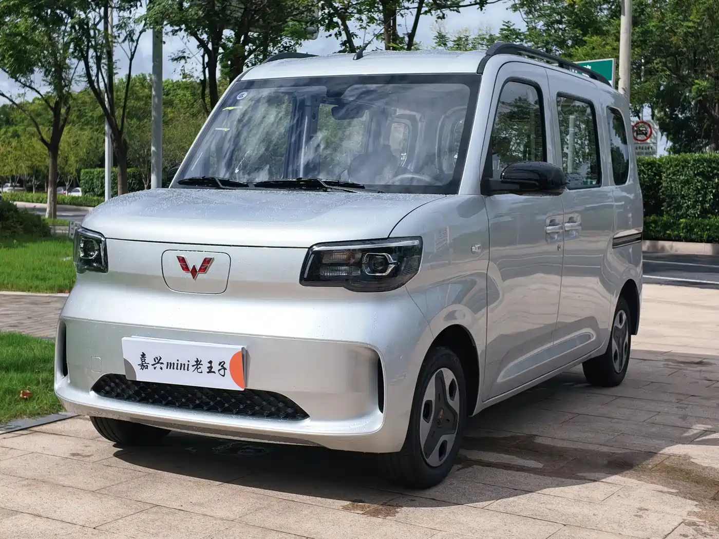 Wuling Motors Wuling Zhiguang NEV 2026 2025 Model 305km Base Version