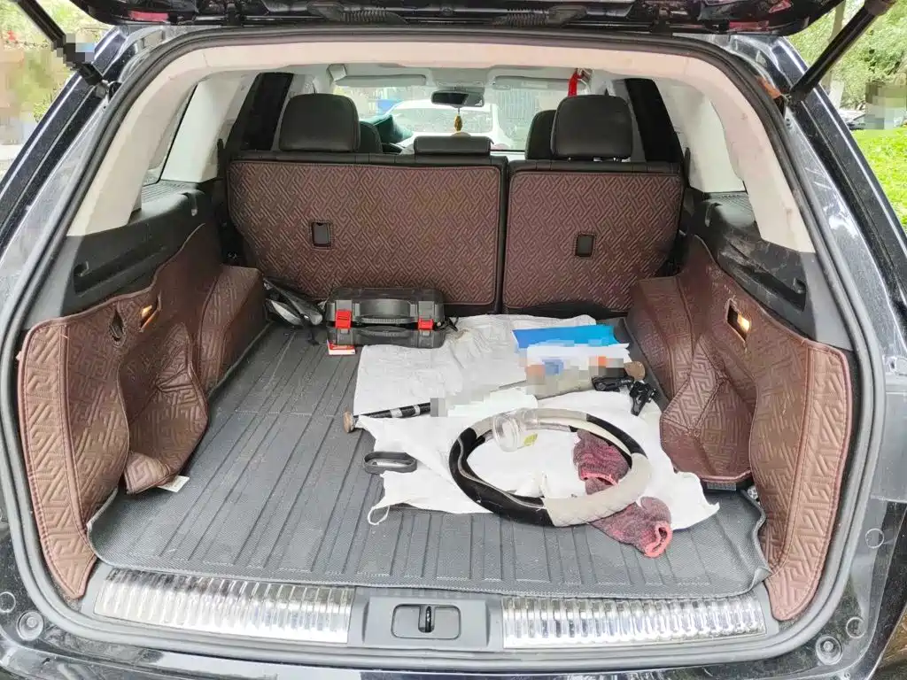 Hongqi HS7, миниатюра 5