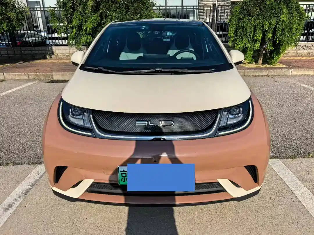 Фото 2 - BYD Dolphin