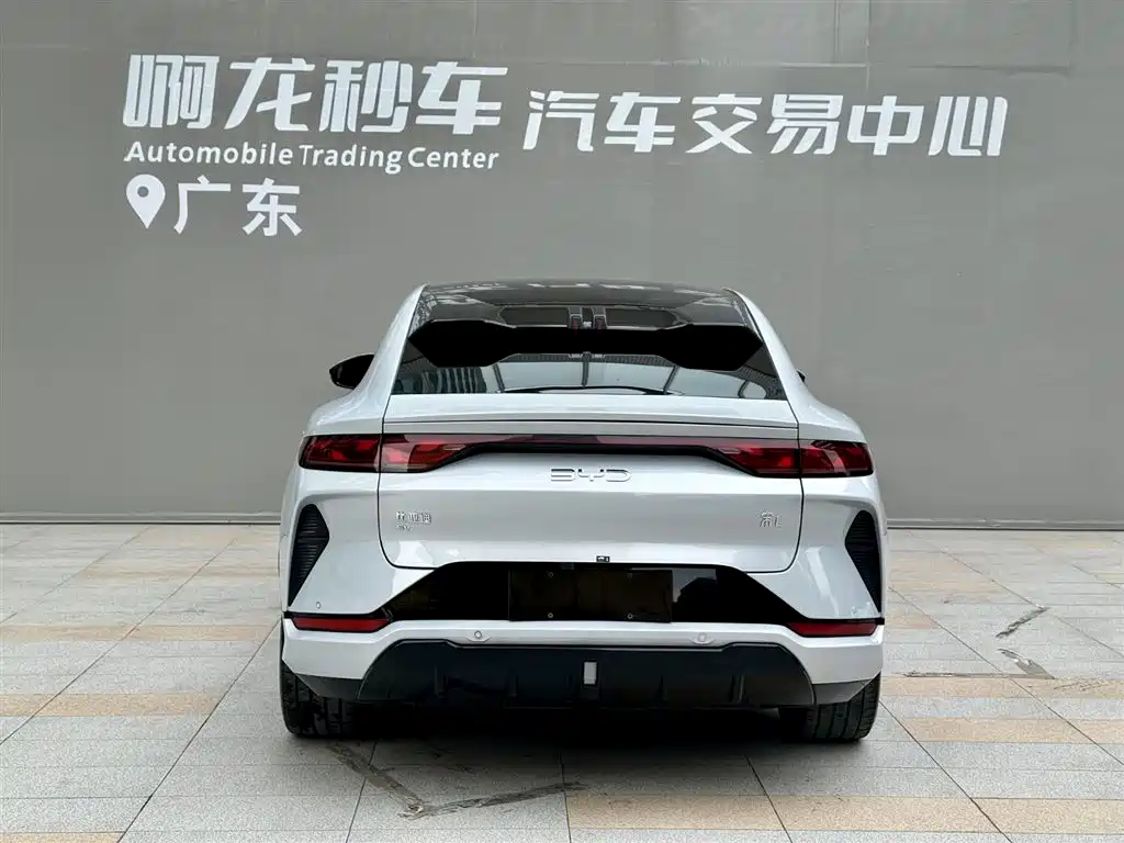 BYD Song L EV 2024 2024 550km Excellence Type