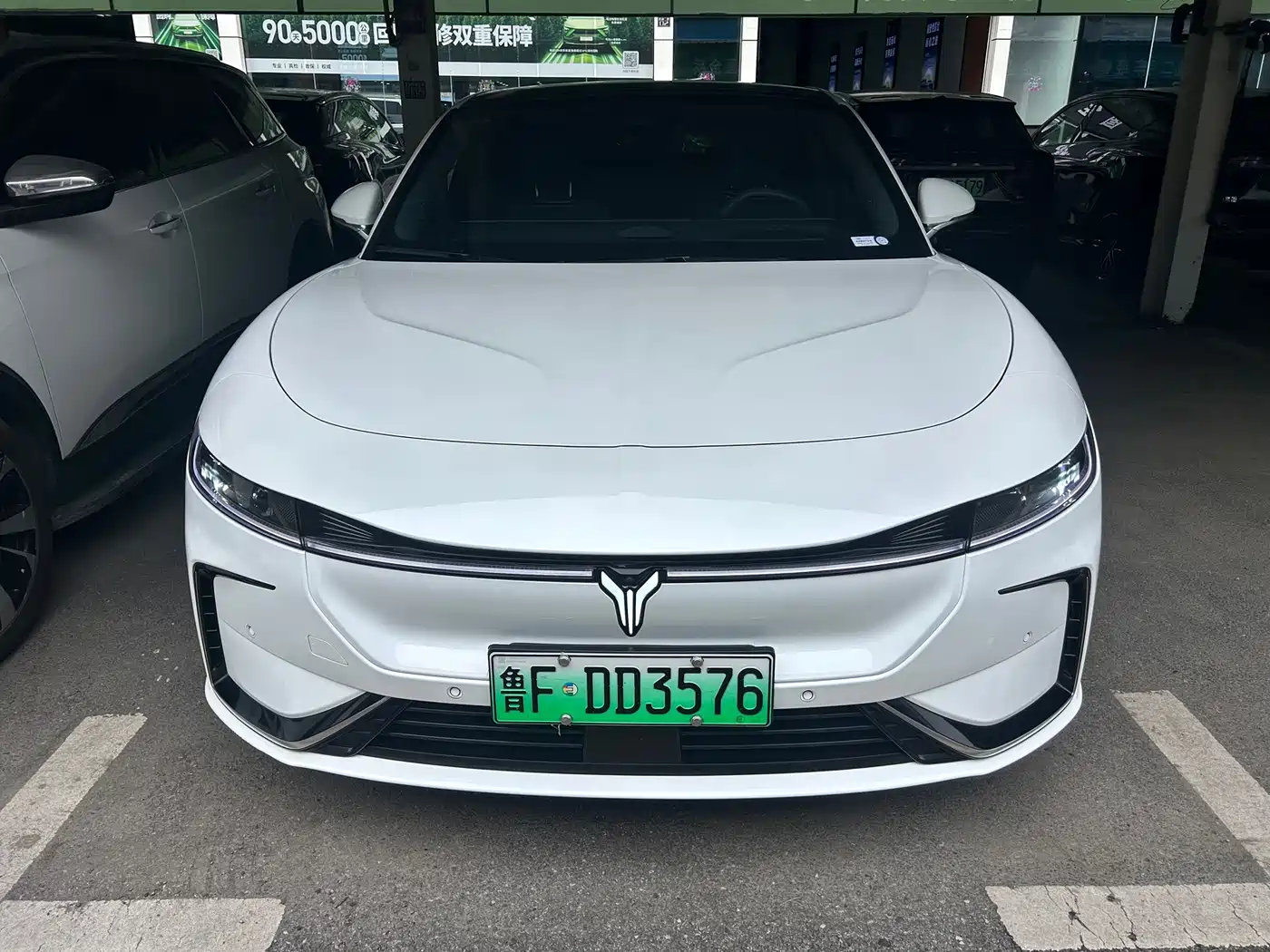 Voyah Passion 2023 2023 4WD Flagship Edition
