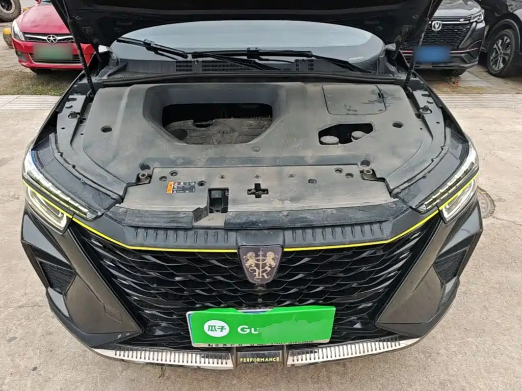 Фото 20 - Roewe RX5