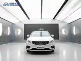 Фото 2 - Geely Borui