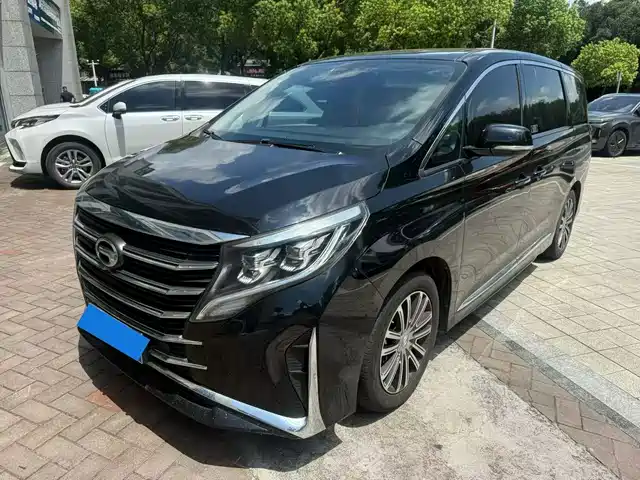 Trumpchi M8 Elegance Series, 390T, Премиум