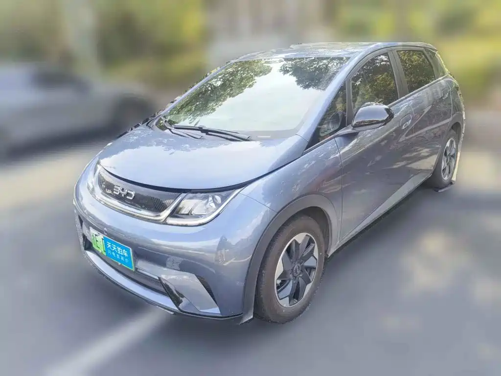 BYD Dolphin 2026 2025 420km Freedom Edition