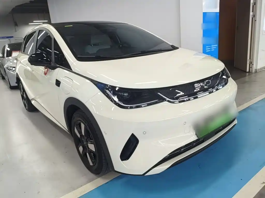 BYD Dolphin 2026 2025 Smart Drive Edition 410km Fashion Version