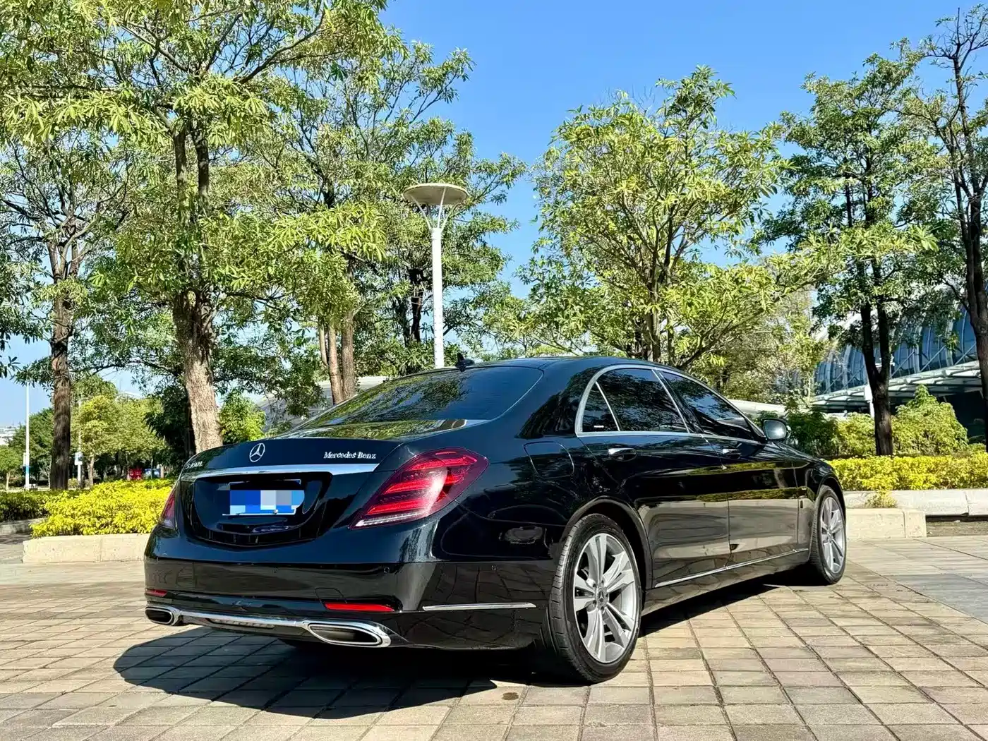 Mercedes-Benz S-Class 2020 S 350 L Premium Edition Collector's Version фото 8