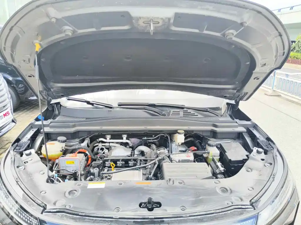 Фото 9 - Dongfeng Aeolus L8