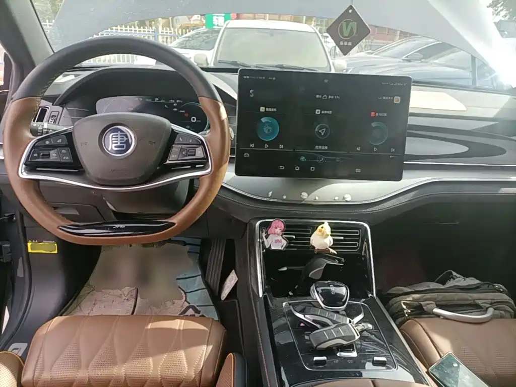 صورة 10 - BYD Tang New Energy
