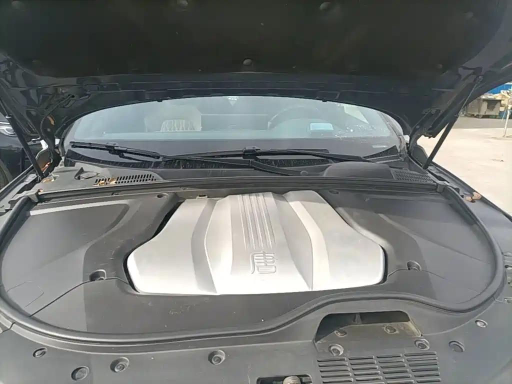 صورة 20 - BYD Tang New Energy