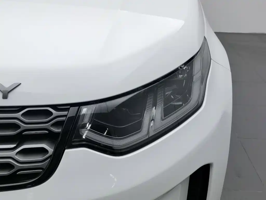 Land Rover Discovery Sport PHEV 2021 2021 P300e Performance Tech Edition