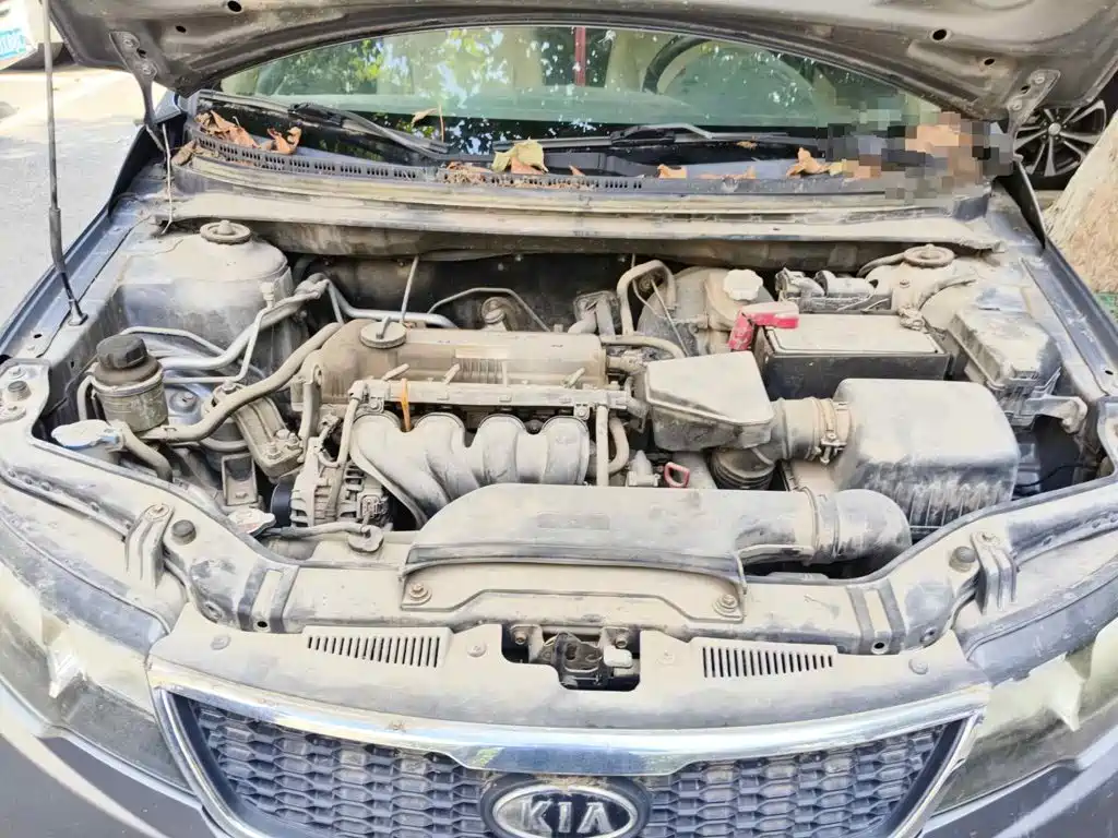 Kia Forte 2009 2009 1.6L AT GL