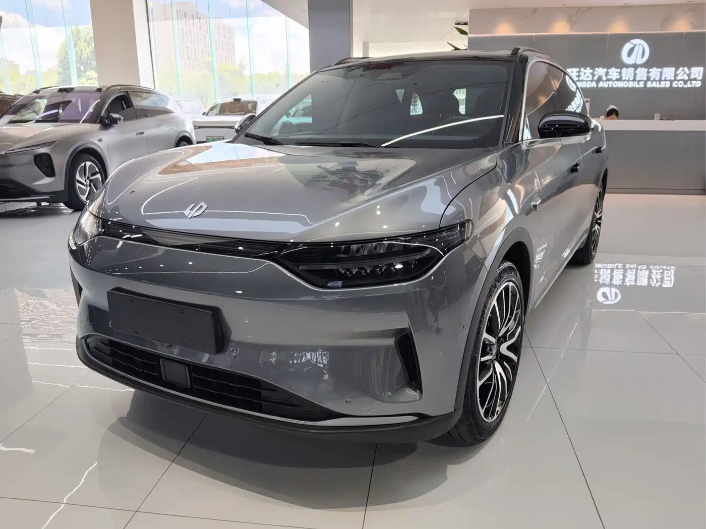 Leapmotor C11 2022 2021 Model Premium Edition