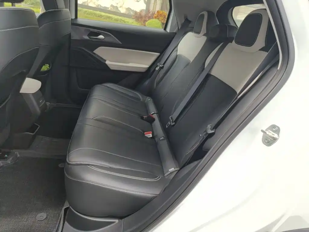 Geely Geometry E Firefly 2024 2024 Model 301km Starlight