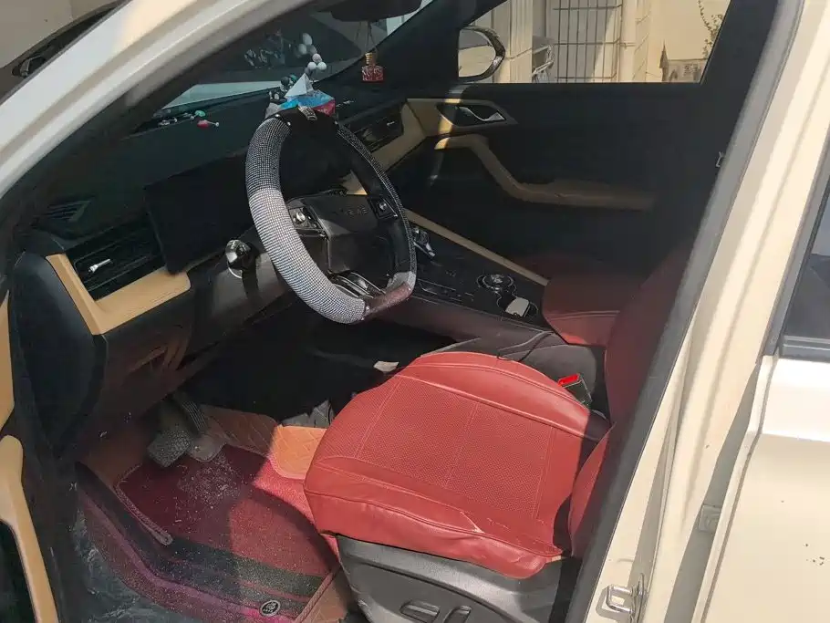 Фото 9 - Roewe RX5