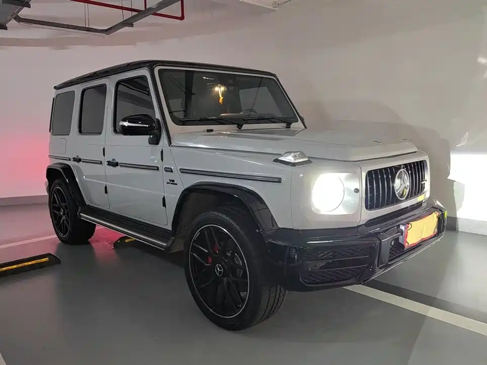 Mercedes-Benz G-Class 2020 G 350 фото 3