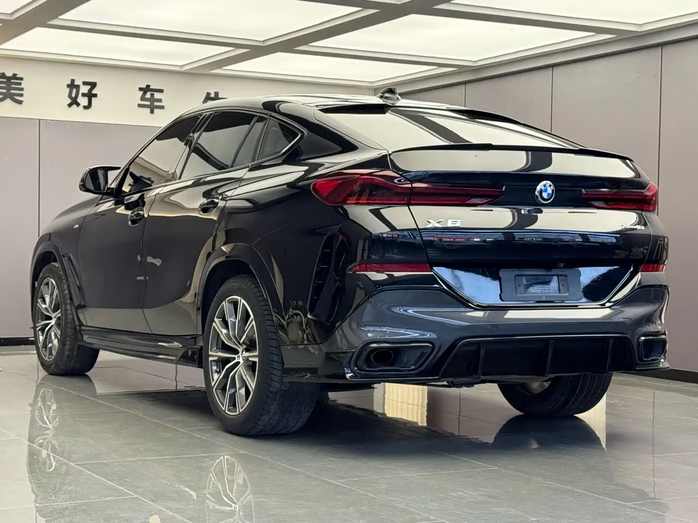 Photo 9 - BMW X6