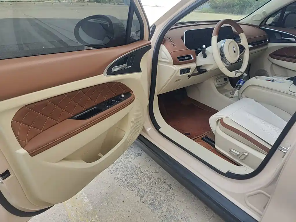 Ora Good Cat 2025 2024 401km Luxury