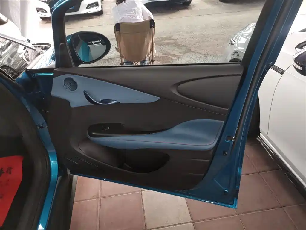 BYD Dolphin 2021 401km Knight Edition фото 19