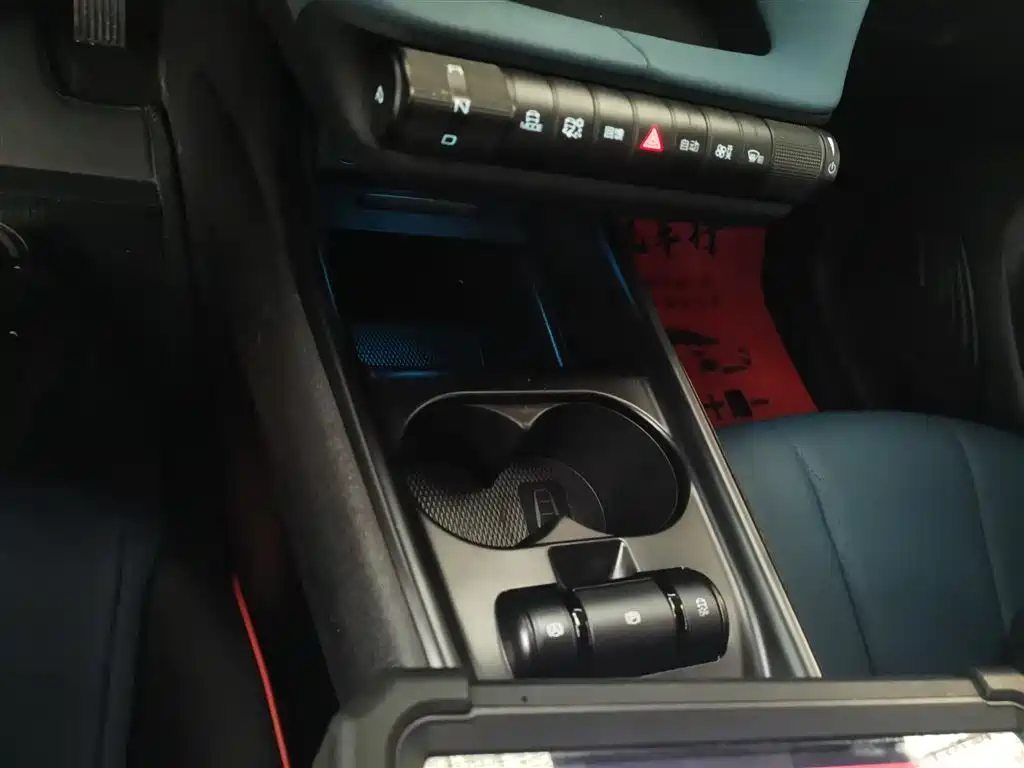 BYD Dolphin 2021 401km Knight Edition фото 11