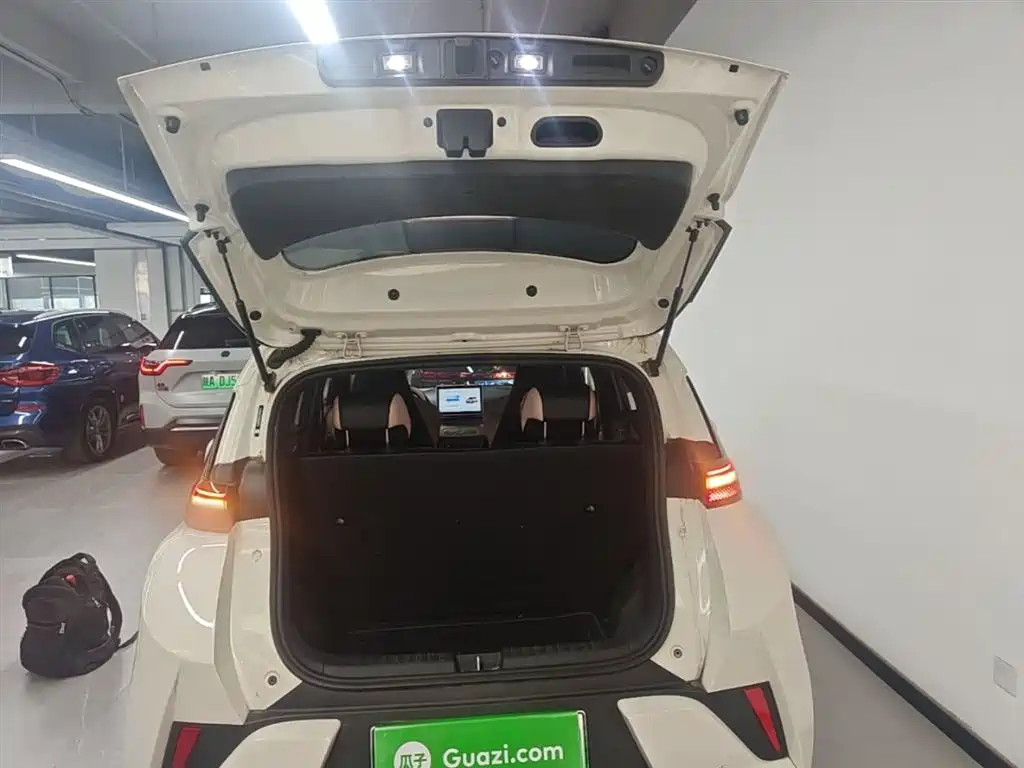 BYD Seagull 2025 Smart Drive Edition 305km Vitality Version фото 19