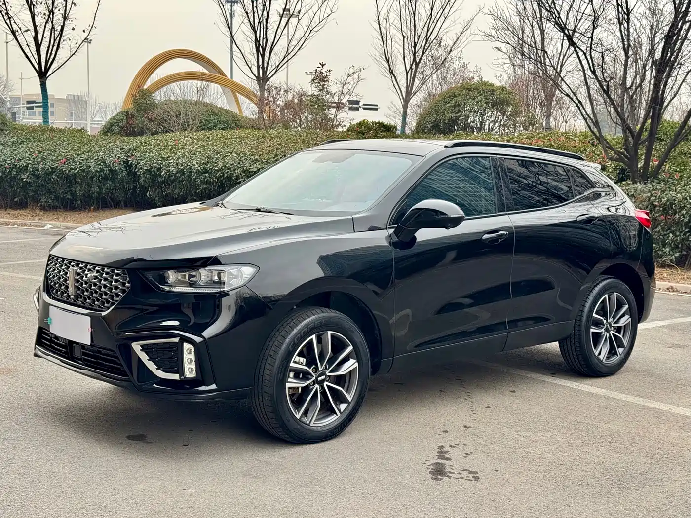 WEI PAI WEI BRAND VV5