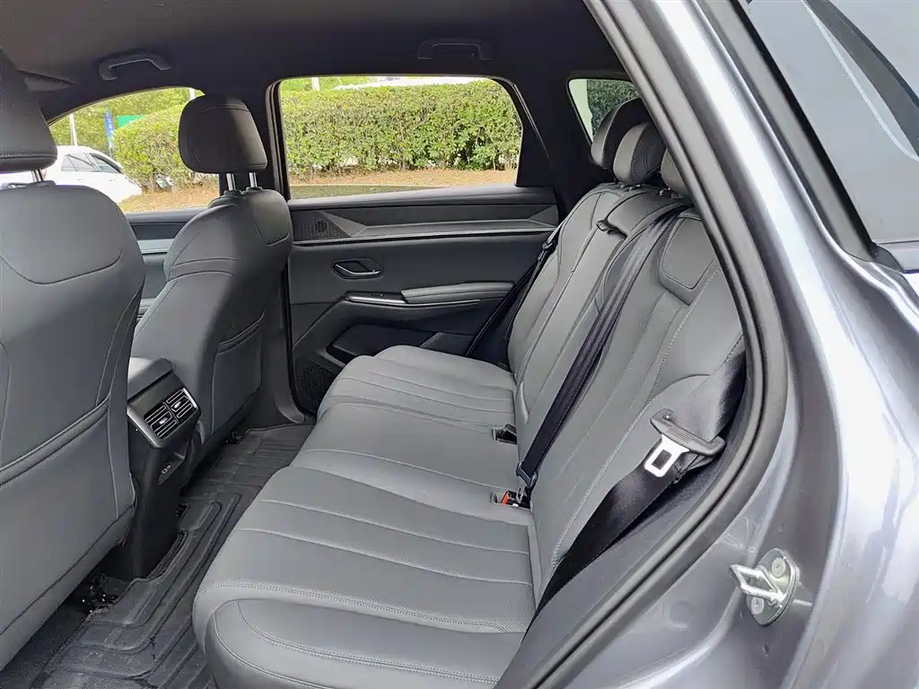 BYD SONGJIANG NEW ENERGY