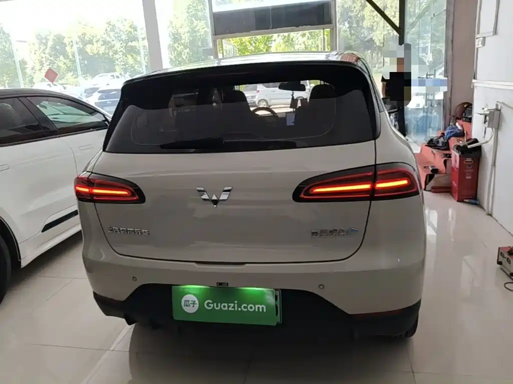 Wuling Motors Wuling Binguo PLUS 2025 2024 Model 330km 5-Seater