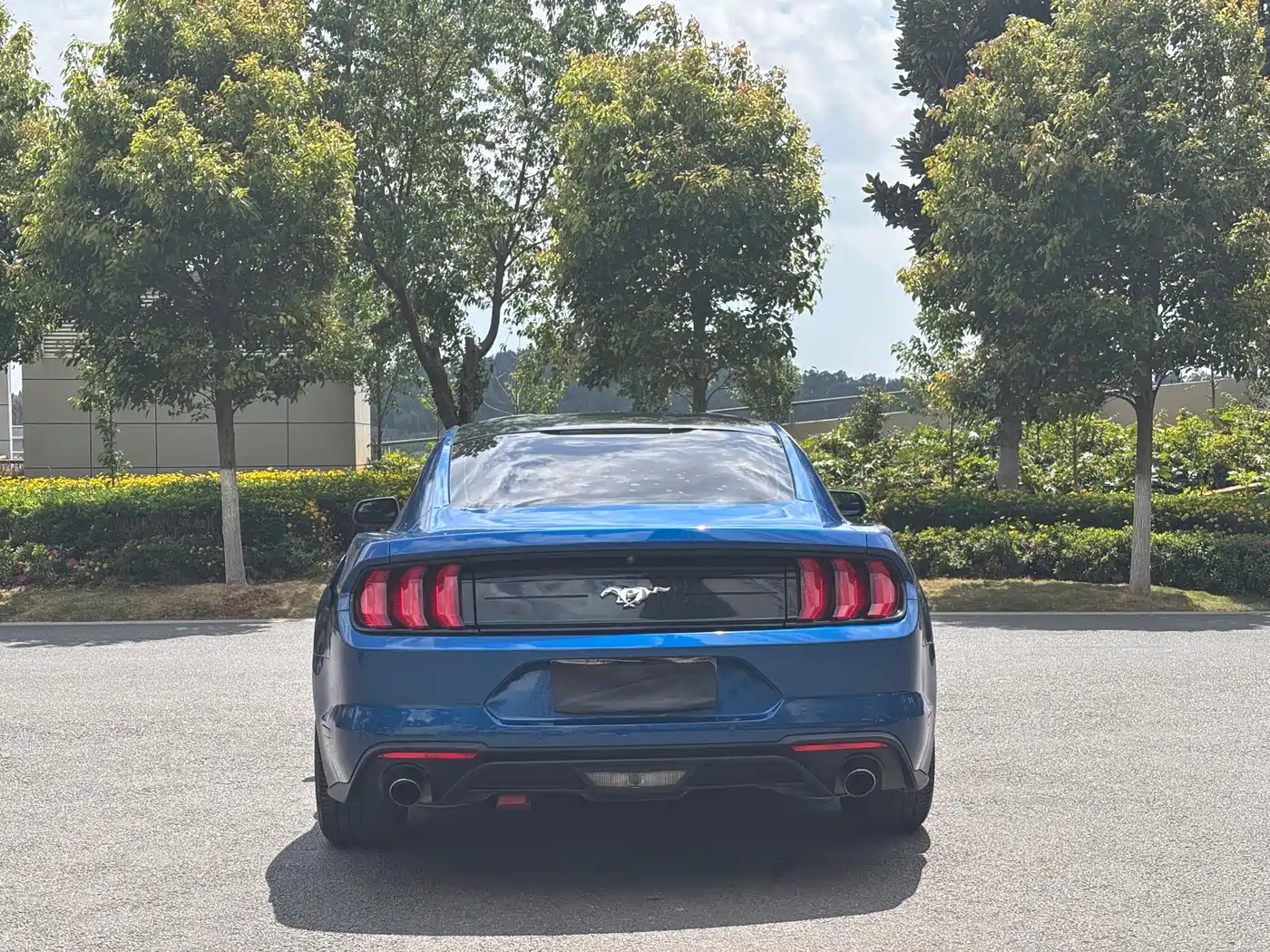 FORD MUSTANG