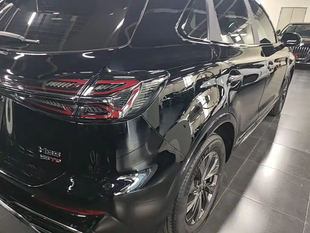 Hongqi HS5 2023 2.0T Flag Enjoy Pro Edition фото 8