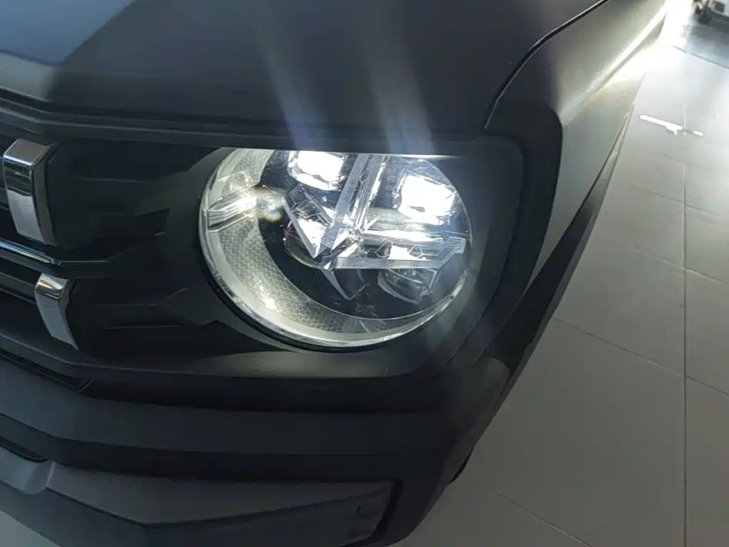 Фото 24 - Haval Cool Dog