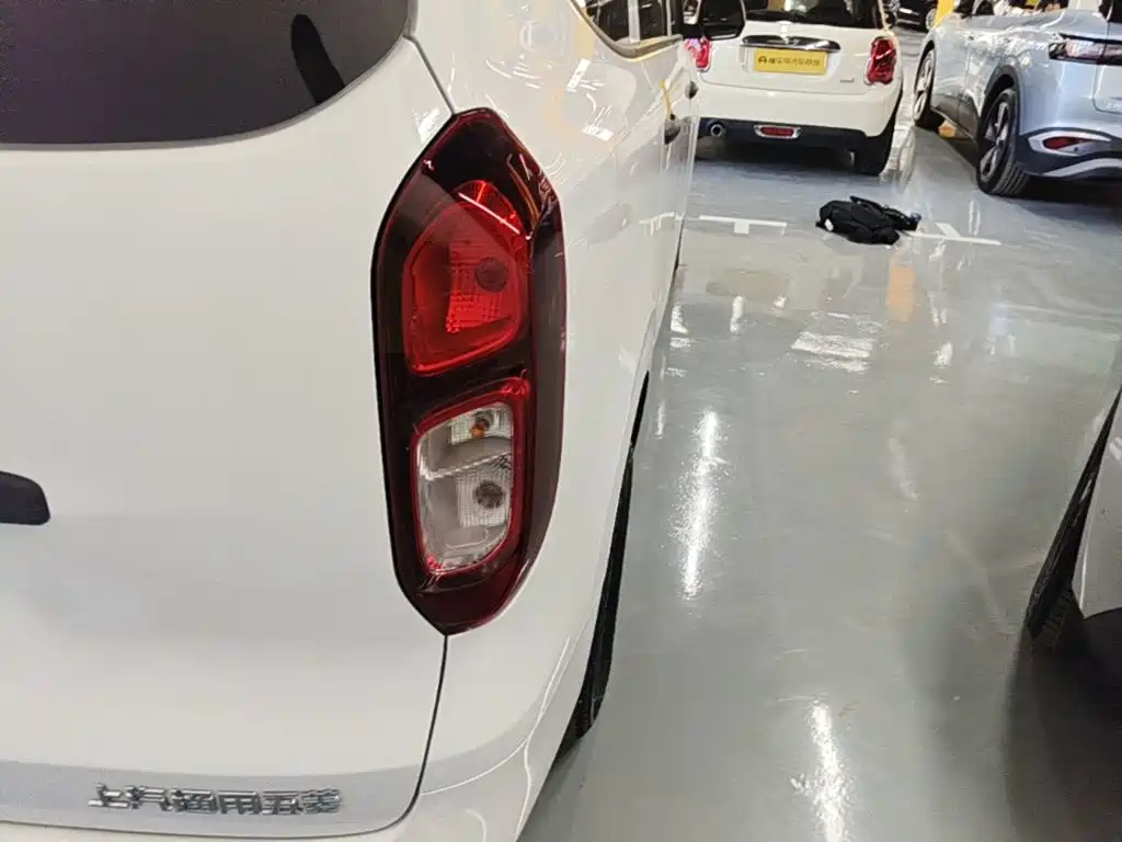 Wuling Motors Wuling Hongguang New Energy 2026 2024 Pure Electric 300KM Standard