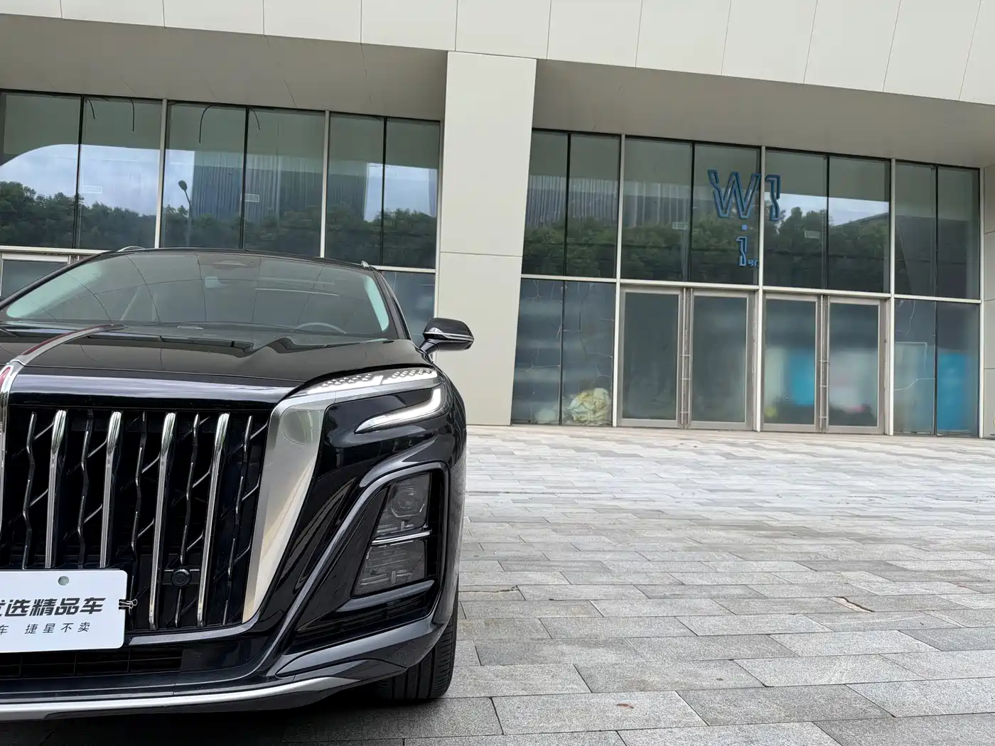 Hongqi HS3 PHEV 2024 2024 PHEV 115km Power Edition