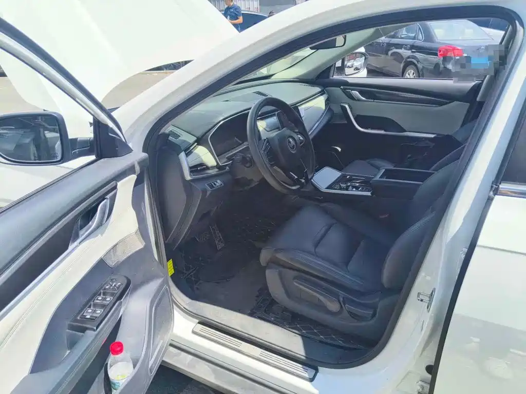 Weltmeister EX5 2020 2019 EX5 Mate Power Alliance Edition 400