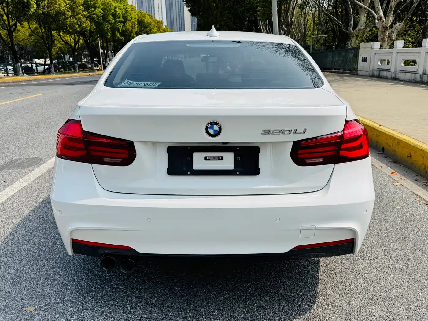BMW 3 Series 2019 320Li M Sport Black Night Edition фото 11