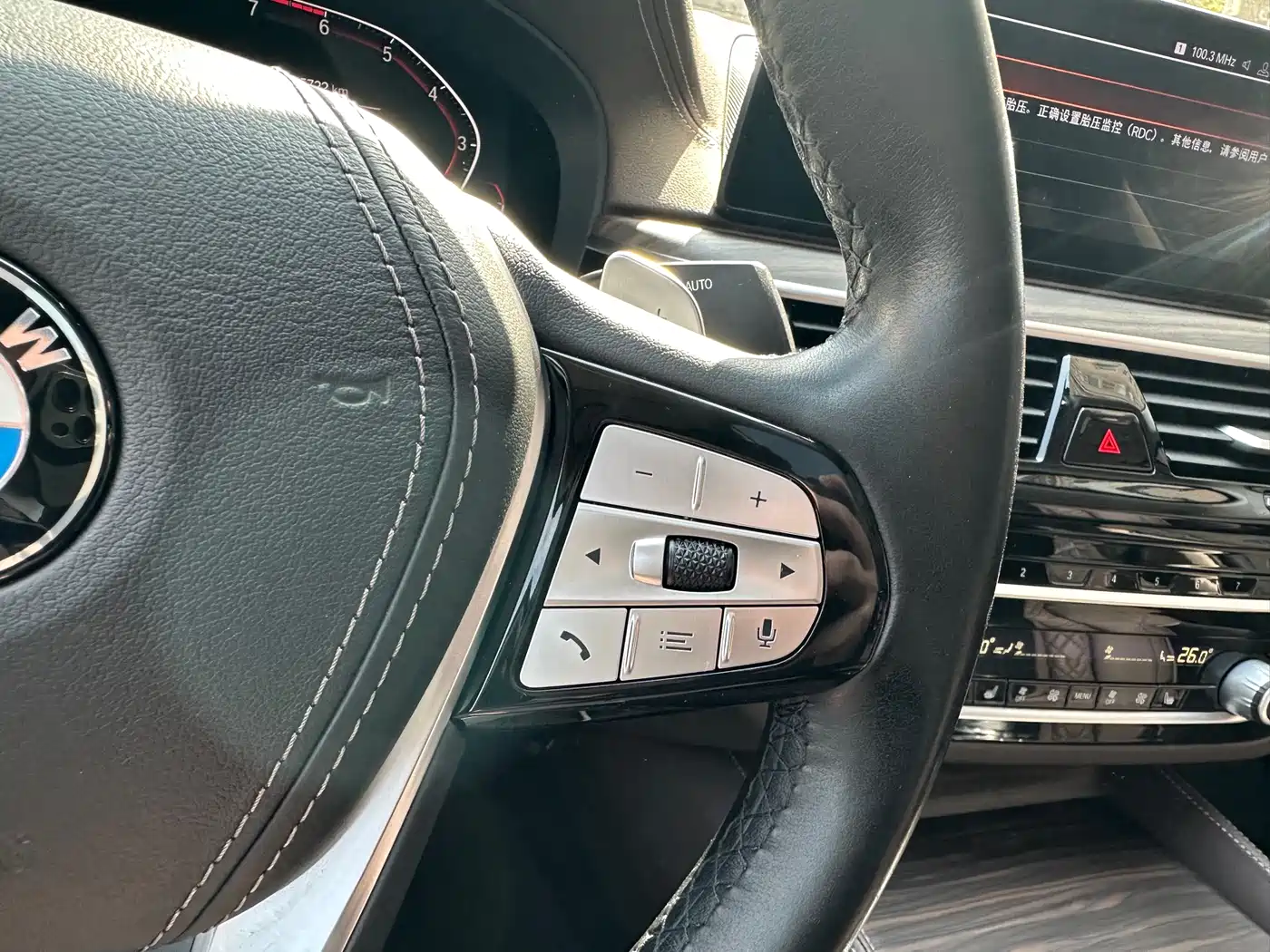 BMW 5 Series 2020 530Li Leading Luxury Package фото 25